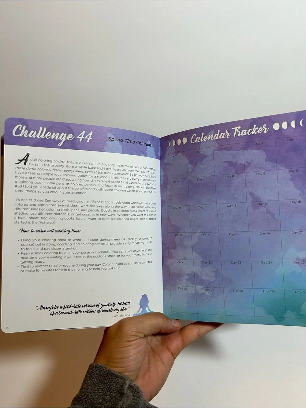 100 Life Challenges Workbook - Sarah Steckler